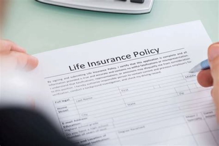 Who can be the owner of a life insurance policy?