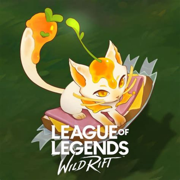 Who counters Yuumi wild rift?