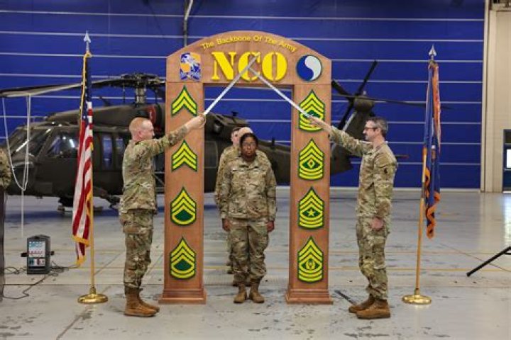 Who evaluates the potential of an NCO or officer?