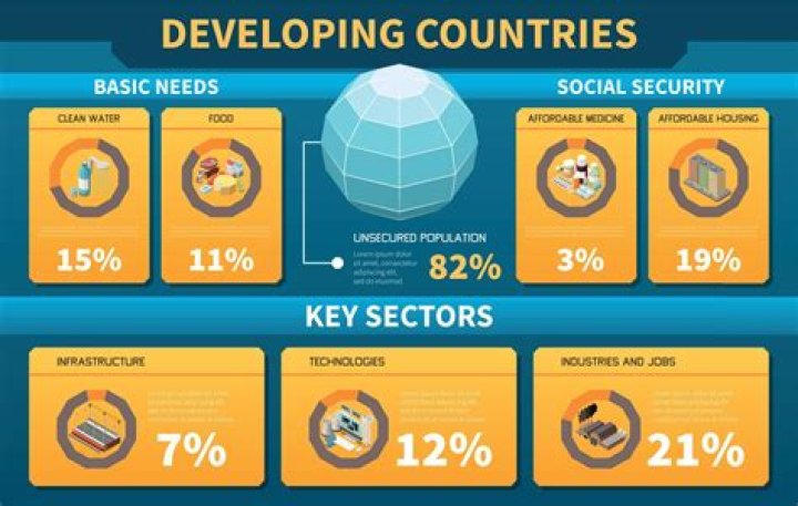 Who gives loans to developing countries?