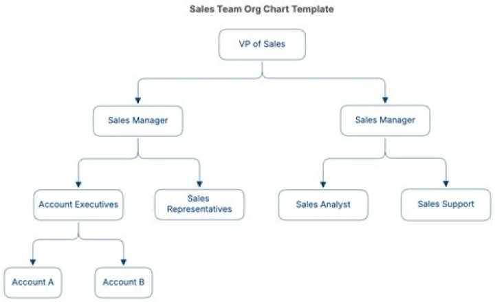 Who is in a sales team?