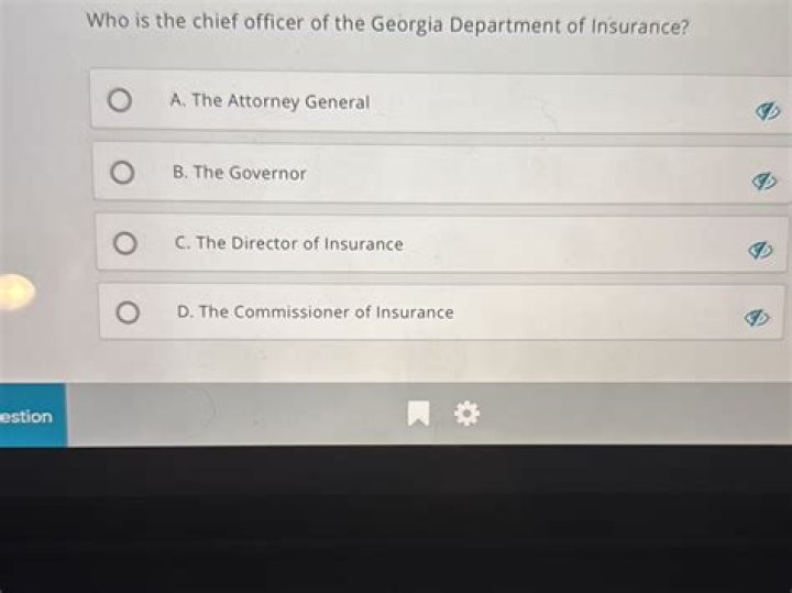 Who is the chief officer of the Georgia Department of Insurance?
