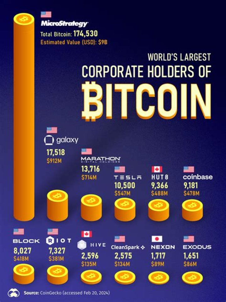 Who is the largest owner of bitcoin?