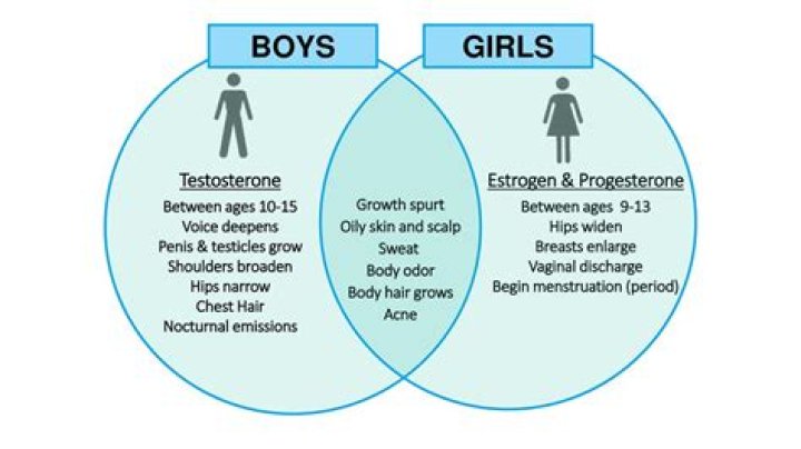 Who loves harder males or females?