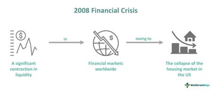Who won in the 2008 financial crisis?