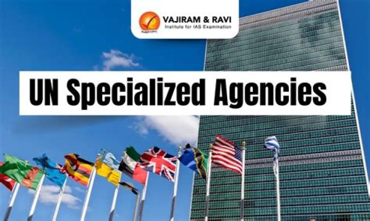 Why are agencies created?