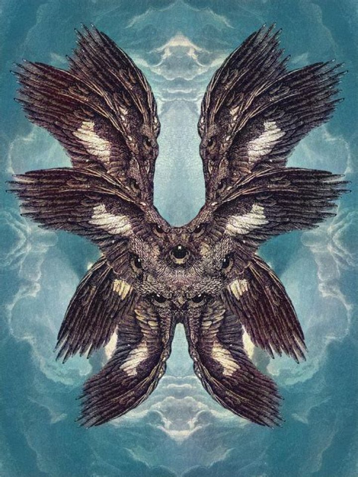 Why are Dark Angels so good?