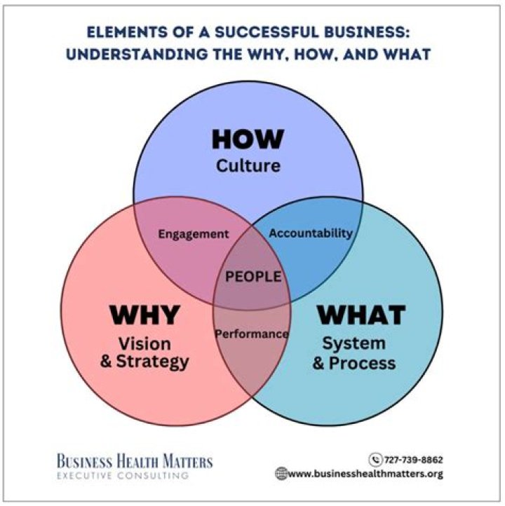 Why business organization is a system?