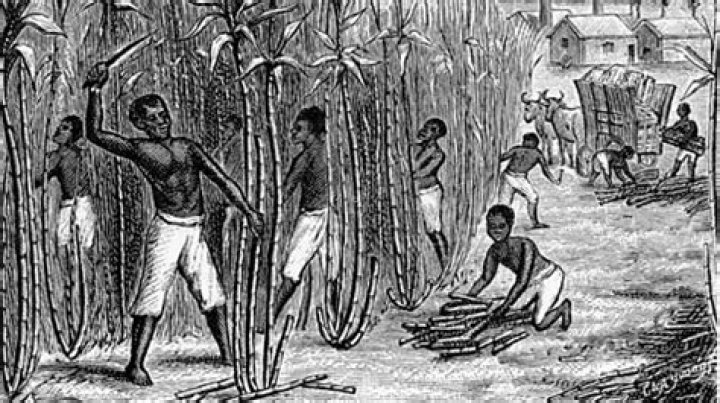 Why did plantation workers want slaves?