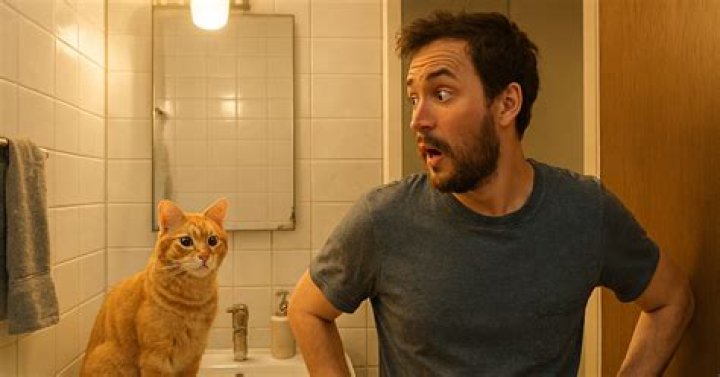 Why do cats follow you to bathroom?