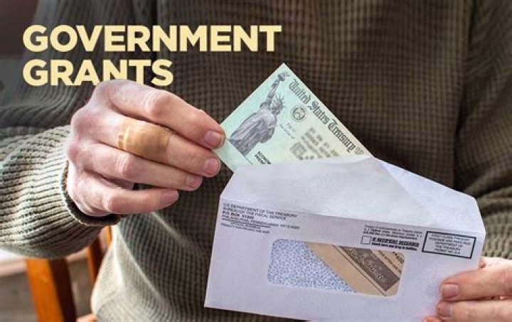 Why do governments issue grants?