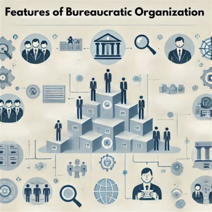 Why do large organizations have bureaucracies and rules?