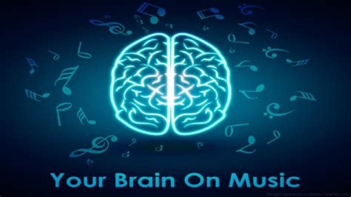 Why do our brains like music?