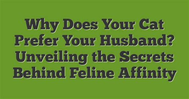 Why does my cat prefer my husband?
