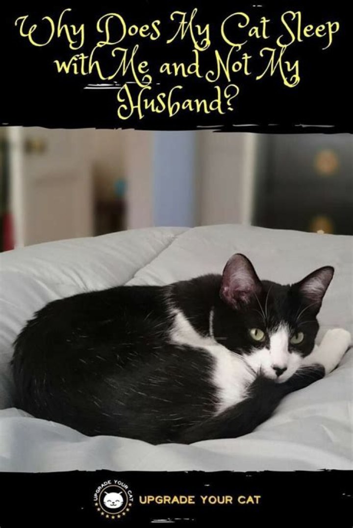 Why does my cat sleep with me and not my husband?