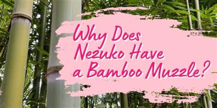 Why does Nezuko Kamado have bamboo?