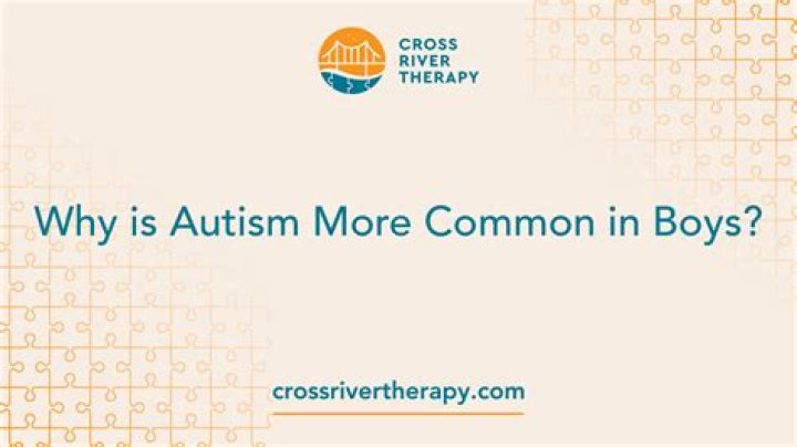 Why is autism more common in boys?
