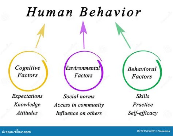 Why is human behavior important in the workplace?