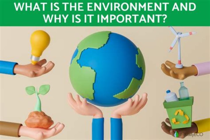 Why is it important for a firm to study and understand the external environment quizlet?