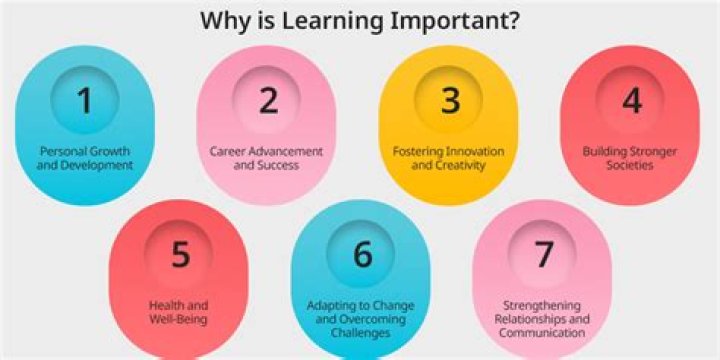 Why is it important to study business strategy?