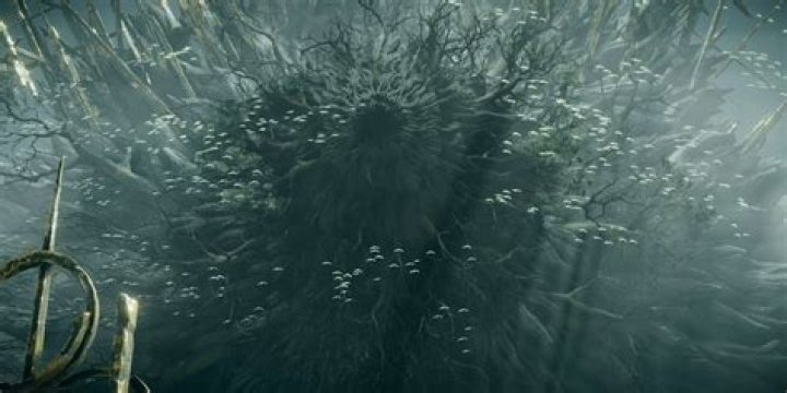 Why is King allant inside the old one?