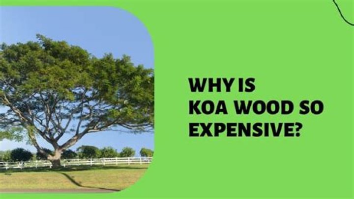 Why is koa wood so expensive?