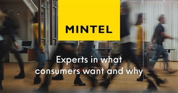 Why is Mintel useful?