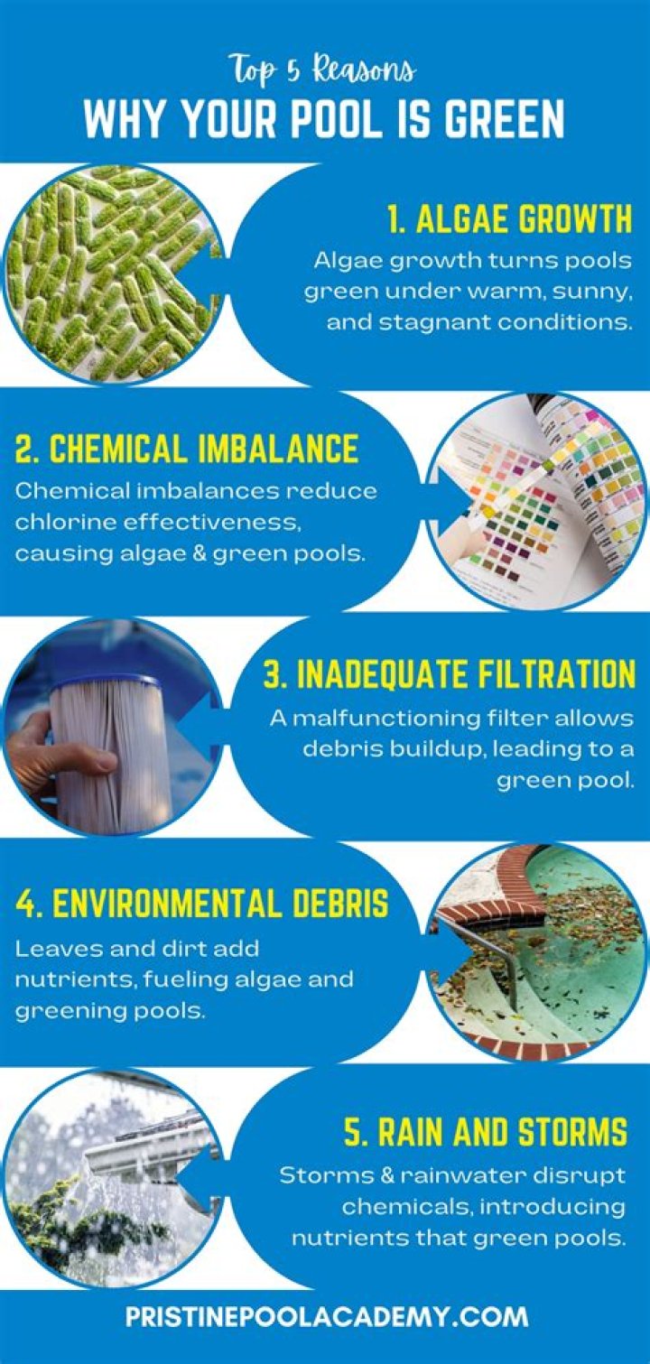 Why is my pool green when I open it?