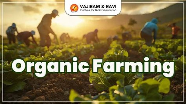 Why is organic farming not better?