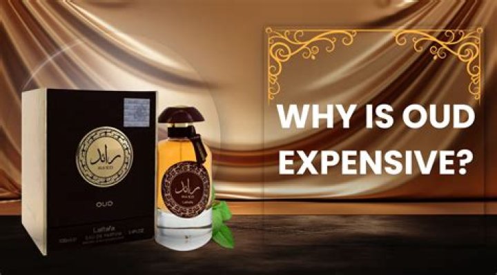 Why is oud expensive?