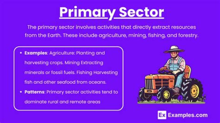 Why is the primary sector decreasing?