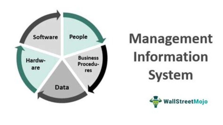 Why management information system is important for business?