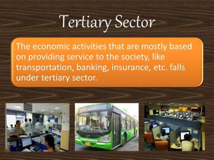 Why tertiary sector is becoming more important?