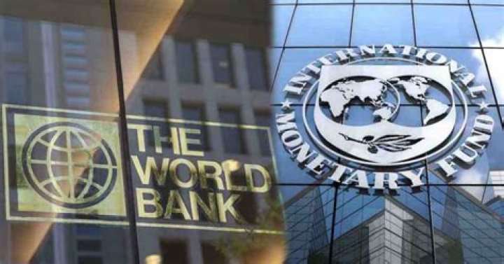 Why would a country try to obtain a loan from the IMF of the World Bank?