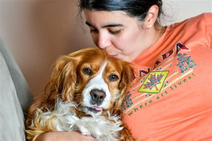 Why You Should not Kiss Your dog?