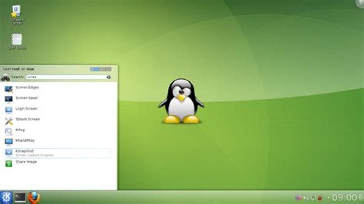 Why you want a Linux live CD?