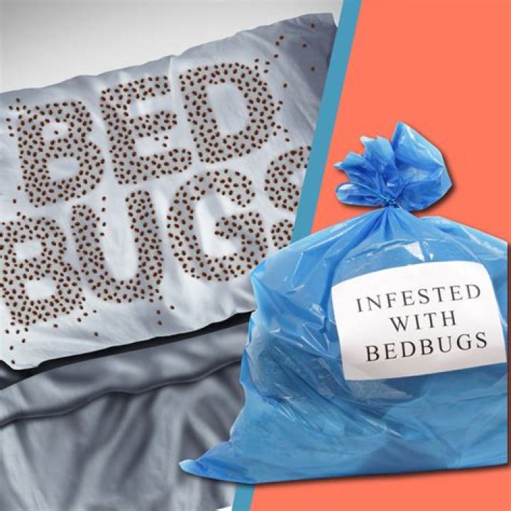Will bed bugs suffocate in plastic bags?