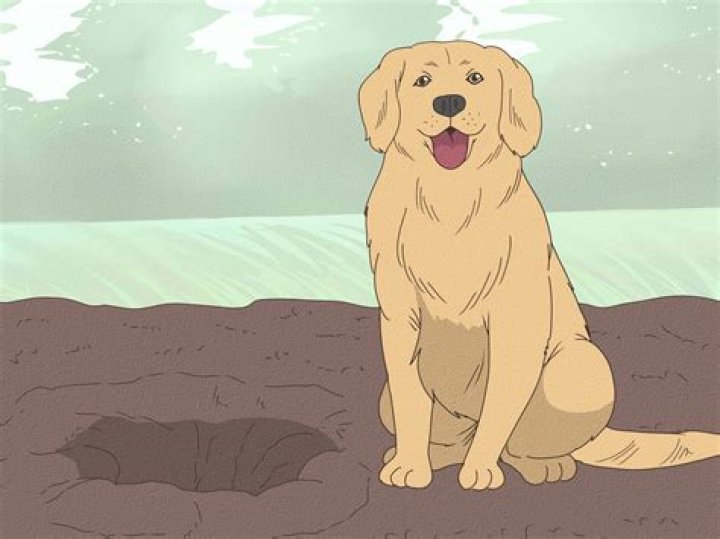 Will it smell if I bury my dog?