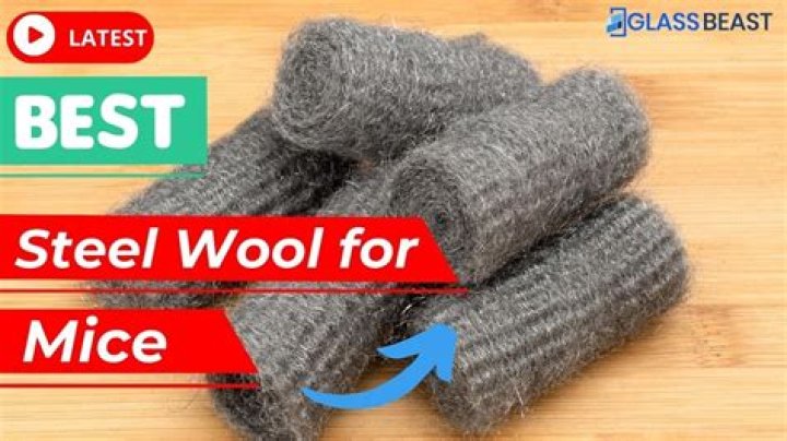 Will steel wool stop mice?
